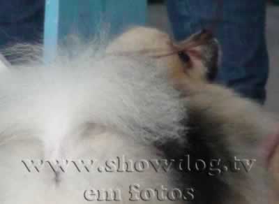 Clique sobre a foto para fechar